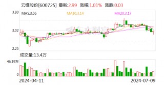 云维股份：预计2024年上半年亏损318万元