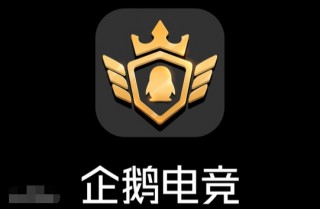 企鹅直播平台在线观看(企鹅直播手机在线直播观看)