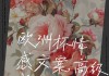 直播欧洲杯文案(2021欧洲杯朋友圈文案)