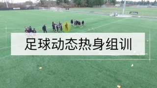 足球最新动态(足球最新动态分析)