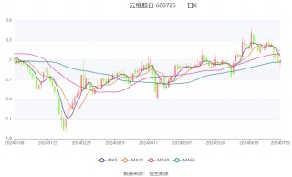 云维股份：预计2024年上半年亏损318万元