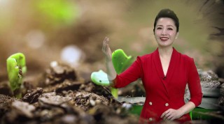 河北影视频道在线直播(河北影视频道在线直播节目表)