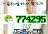wepoker欧洲杯(欧洲杯 cooling)