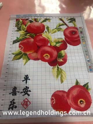 360直播足球直播雨燕(雨燕360体育直播nba免费观看)