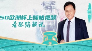 欧洲杯张路(欧洲杯张路评德国队)