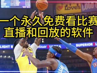 湖人队比赛直播视频(湖人队比赛直播视频在线观看)
