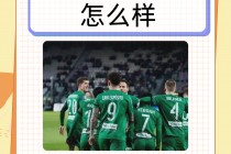 波兰2016欧洲杯阵容(2016欧洲杯波兰vs葡萄牙比分)