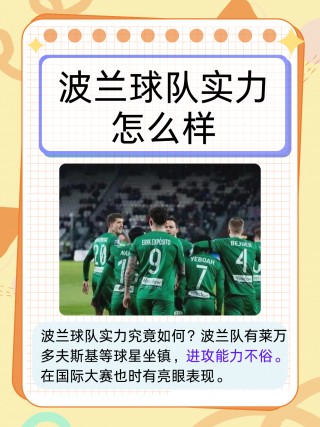 波兰2016欧洲杯阵容(2016欧洲杯波兰vs葡萄牙比分)