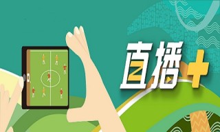 山东体育无插件直播(山东体育无插件直播软件介绍)