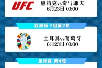 欧洲杯葡萄牙对法国名单(欧洲杯葡萄牙对法国比赛结果)
