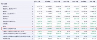 再次挂牌！琏升科技拟1684万元 *** 全资子公司股权及商标，多年净利亏损