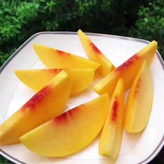 黄桃直播(看b站a8直播)