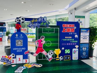 看欧洲杯(我想看欧洲杯的)