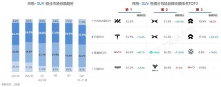 三亚对新能源换电车型更高补贴1万元(三亚对新能源换电车型更高补贴1万元吗)