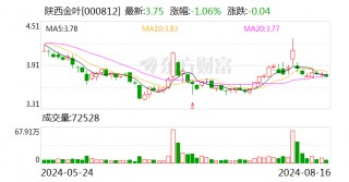 陕西金叶：实控人袁汉源被公安机关指定居所监视居住