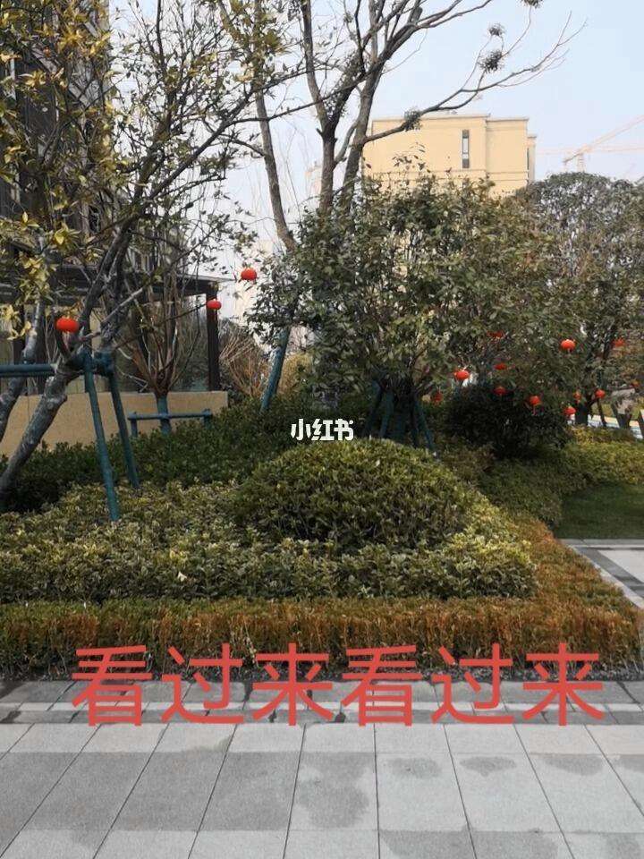 关于交易节奏加快北京楼市春意盎然的信息  第1张