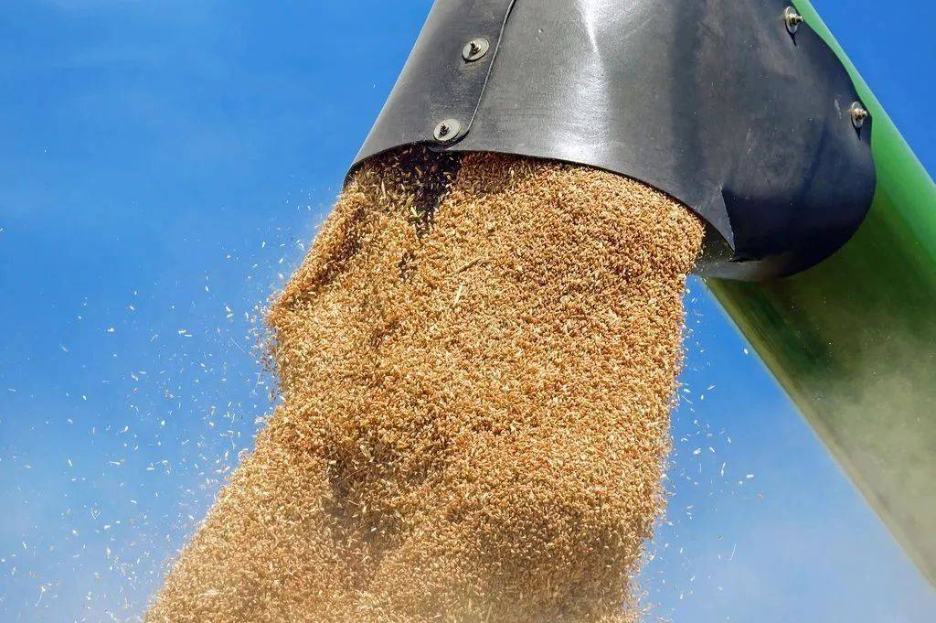 经济日报：全方位夯实粮食安全根基的简单介绍  第2张