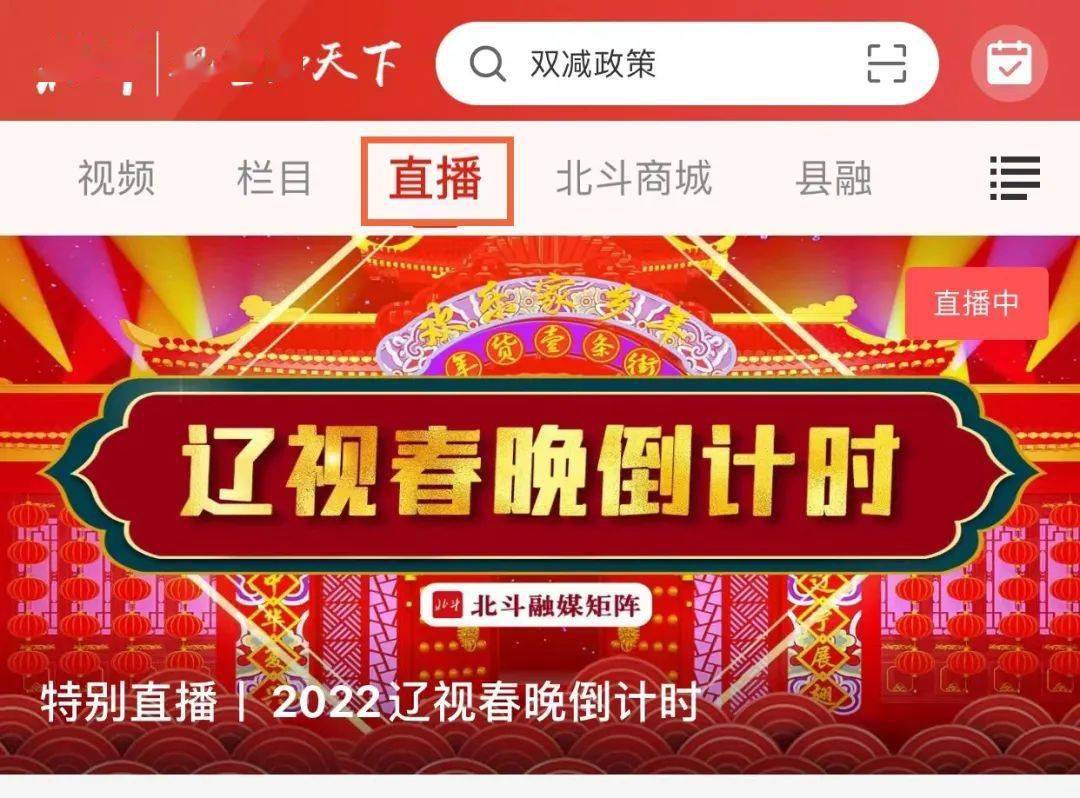 辽宁卫视直播回看(辽宁卫视直播回看节目)  第1张