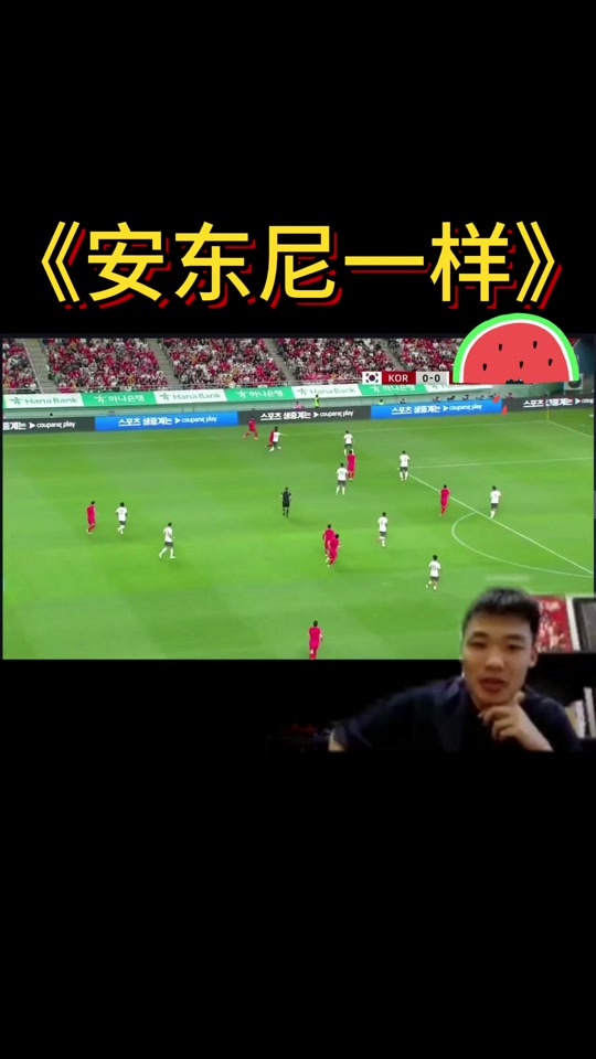 请播欧洲杯(请播放欧洲杯)  第1张