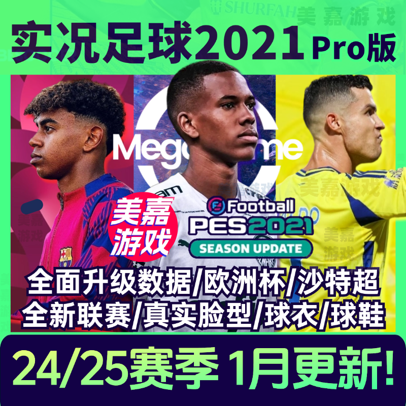 实况2013欧洲杯(实况2013欧冠用球看不清)  第1张
