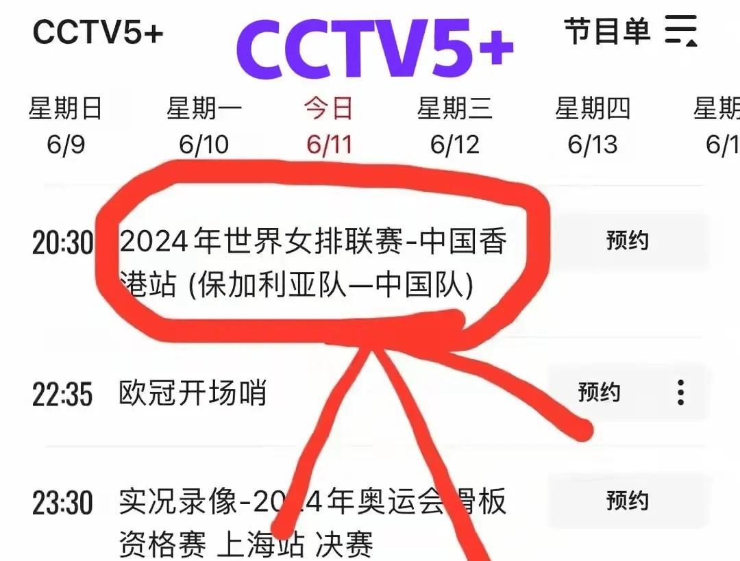 女排世联赛直播时间(女排世联赛直播时间表)  第1张