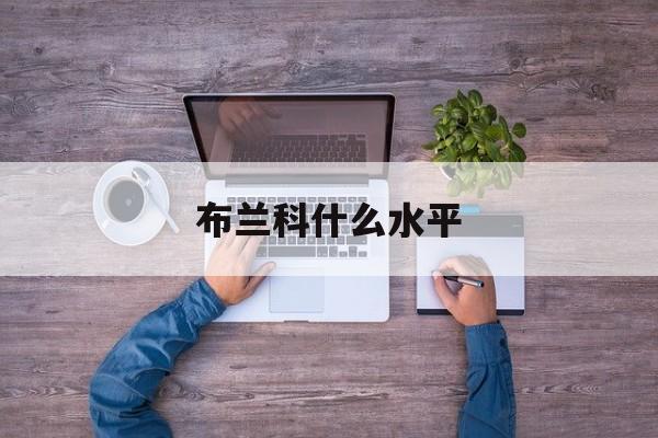 布兰科什么水平(布兰科效力过哪些球队)  第1张